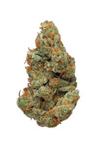 AK 47