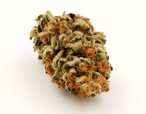 Lemon Kush