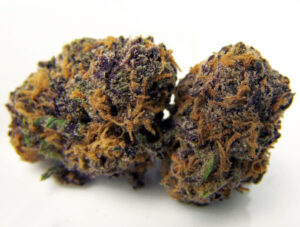 Purple Kush