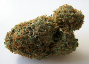 Bubba OG