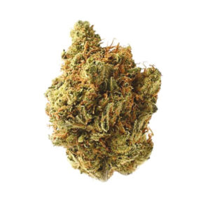 Kosher Kush